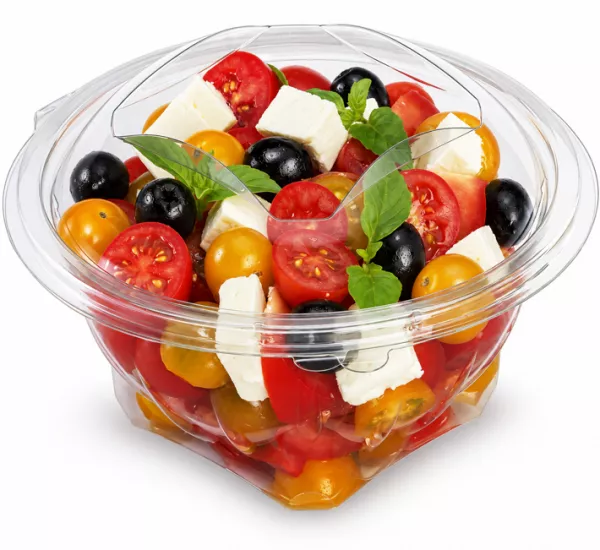 60 BOLS SALADE PLASTIQUE + COUV 250CC