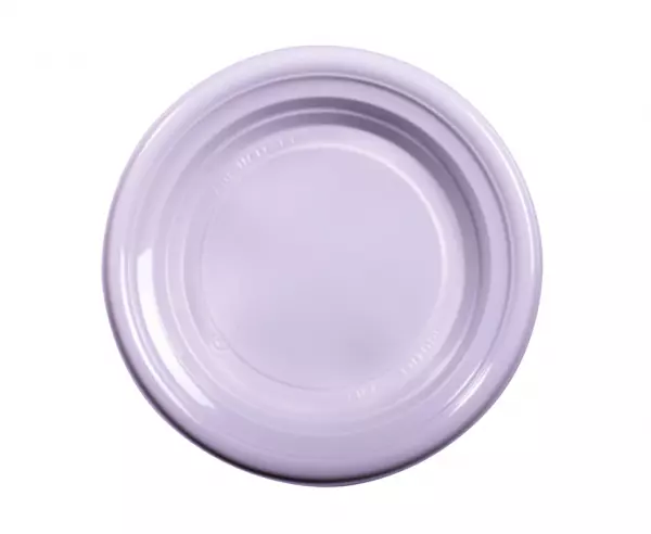 650 Assiettes D22 PP Plates R�utilisable 20gr BLANC