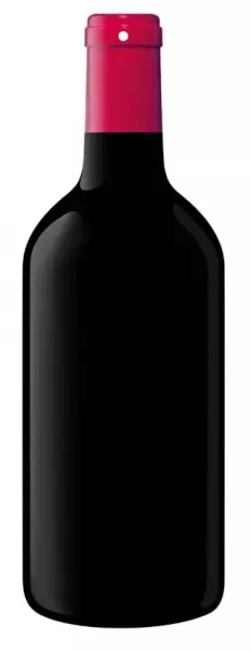 Ardoise 38x115cm Bouteille