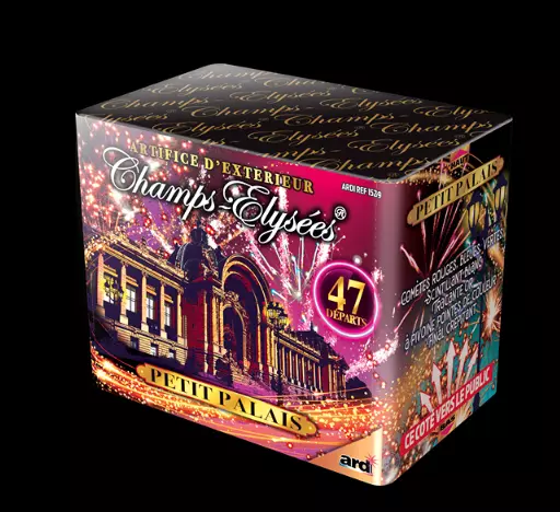 CHAMPS ELYS�E PETIT PALAIS