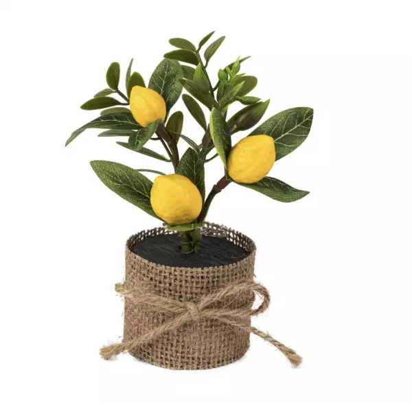 Composition de Citrons et Feuillage Jaune et Vert avec Pot Jute �5x13cm