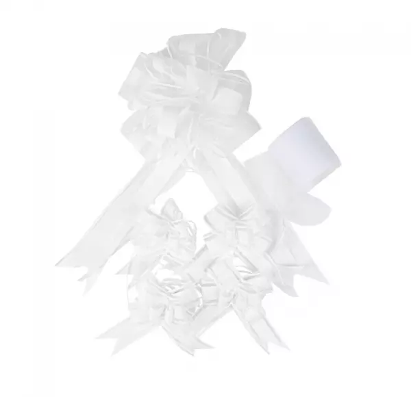 KIT DE DECORATION DE VOITURE BLANC 