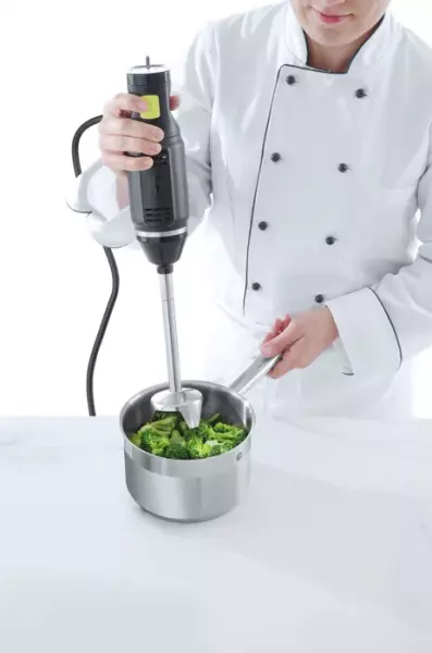 Mixeur plongeur- Bronwasser 6 vitesses 250W
