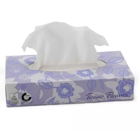 Mouchoirs blancs 2p 