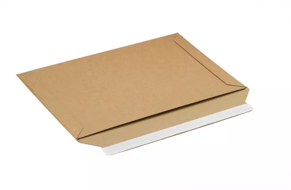 Pochette carton avec fermeture adh�sive - 250 X 200 mm