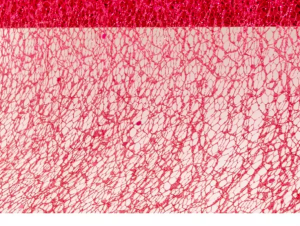 RUBAN DE TABLE GLITTER ROUGE