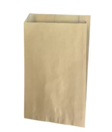 SACHET KRAFT ECRU 31+8X19cm