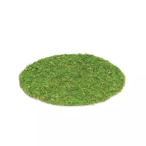 Set de Table V�g�tal Mousse Naturelle ⌀35cm