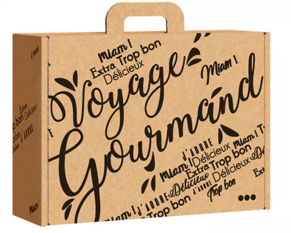Valisette Carton Kraft VG 34,2x25x11,5cm